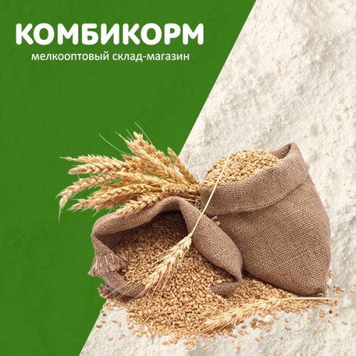 Сайт компании КОМБИКОРМ по продаже кормов для с/х животных в г. Саранск